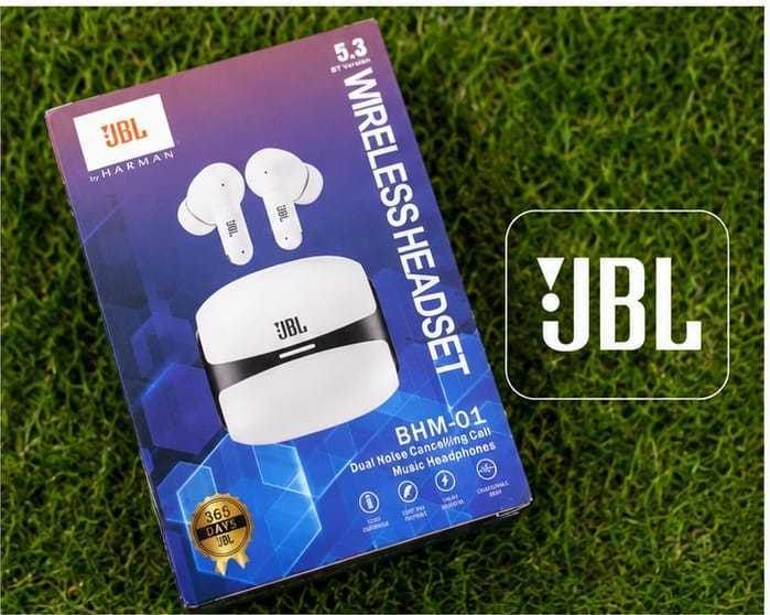 JBL BHM-01 Earbuds